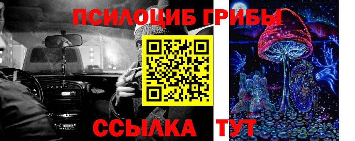 дарнет шоп  Псилоцибиновые грибы ЛСД  Верхняя Салда  Вход с VPN  Псилоцибиновые грибы Psilocybine cubensis 